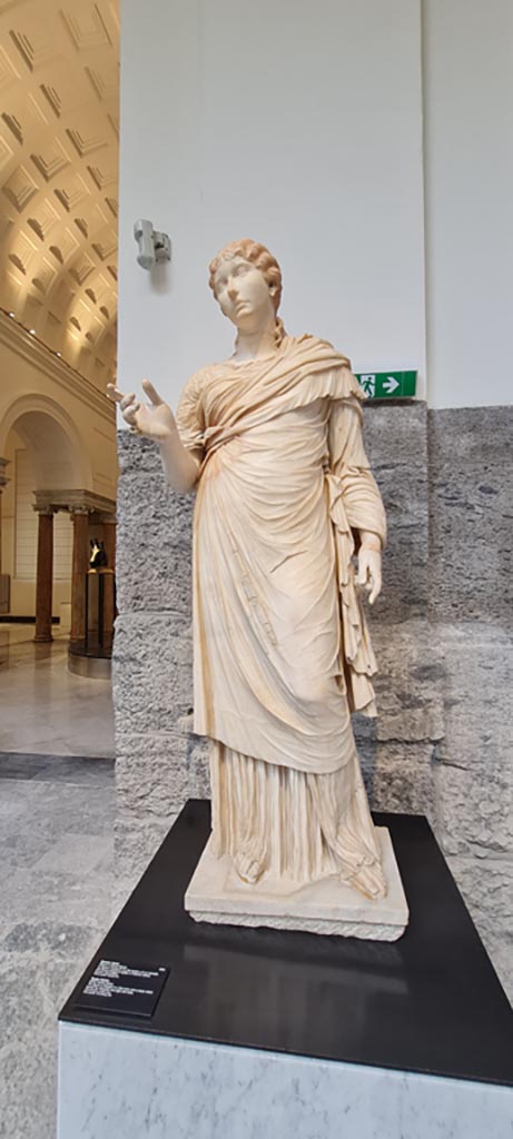 Herculaneum, public area. April 2023. White marble statue of a young woman.
On display in “Campania Romana” gallery of Naples Archaeological Museum, inv. 6248.
Photo courtesy of Giuseppe Ciaramella.